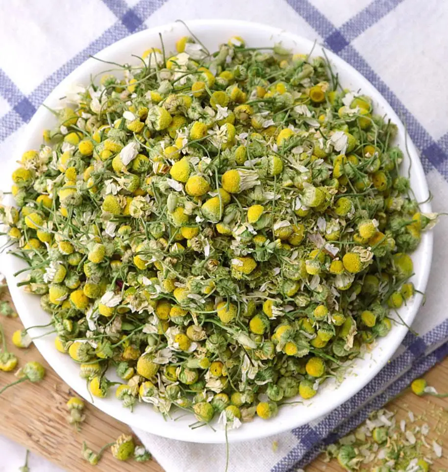 2022 new crop Fresh dried Premium Chamomile flowers tea In loose wholesale price