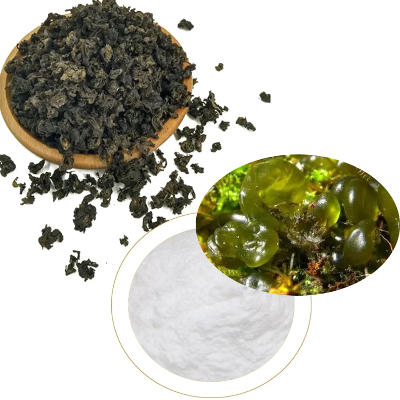 lichen moss ground pad extract USNIC ACID lichenic acid diffractaic acid usnein powder