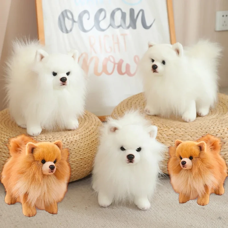 Premium Simulation Pomeranian Dog Plush Toy Cute Stuffed Animals Puppy Plushies Doll Plush Toys For Claw Machine Arcade