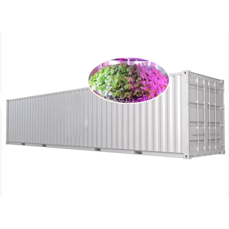 Контейнерная Ферма для гидропонных систем выращивания