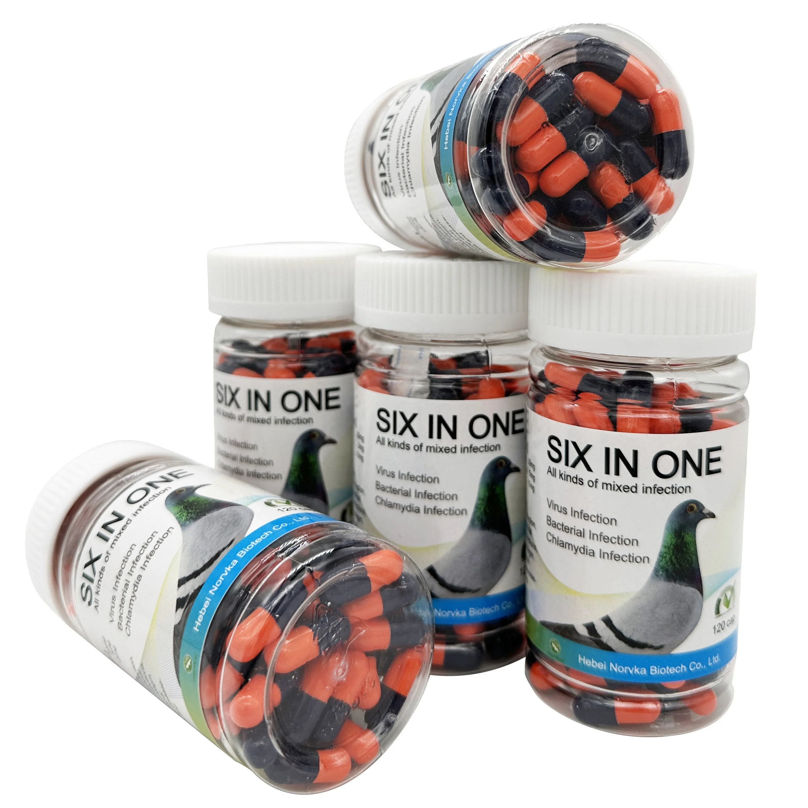 victory pills racing pigeon product for intestinal health protection supplement six in one  capsules