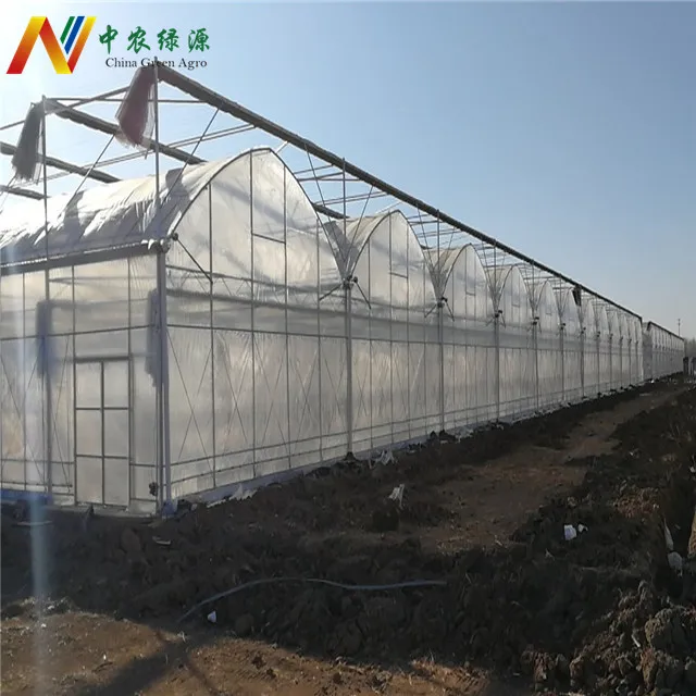 Cheap Invernadero Multi-span Plastic Film greenhouses structure with hydroponic system