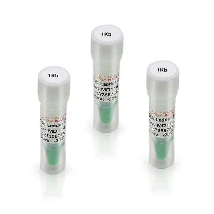 High Grade 1kb Ladder DNA marker (1000,2000,3000,4000,5000,6000,8000,10000bp)
