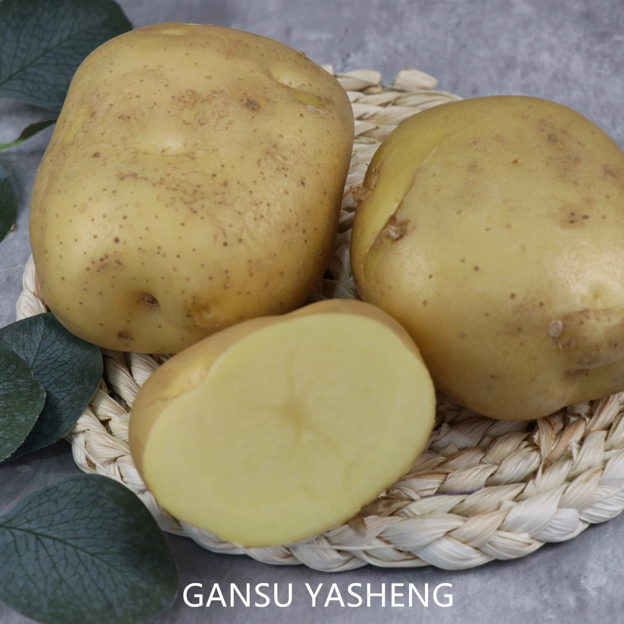 New senson potato export bag mesh style wholesale fresh potatoes with good price