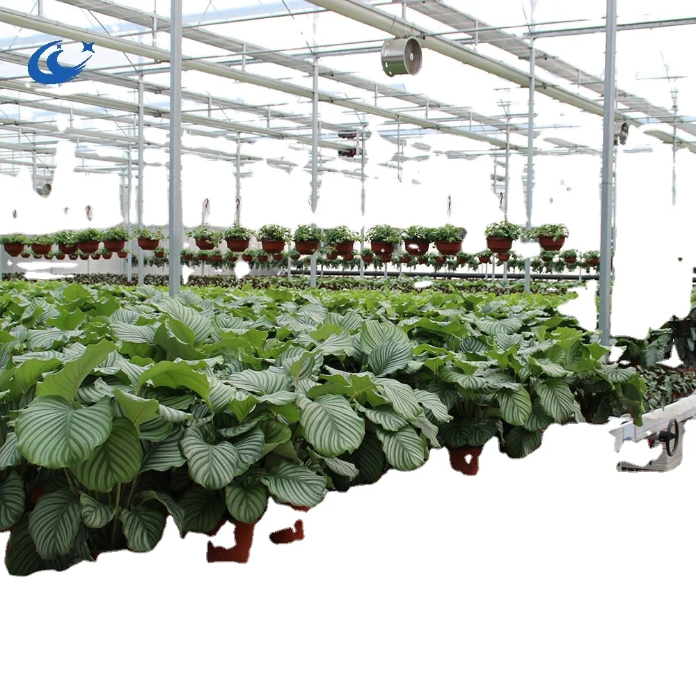 Aluminum frame with hot galvanized greenhouse Ebb and Flow rolling bench