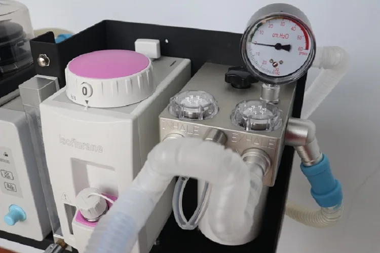 hot sale products in china veterinary Anesthesia machine Anesthesia equipment