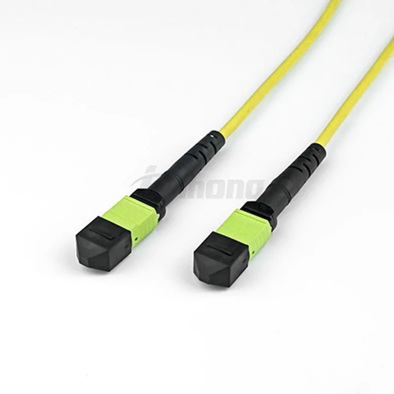 Factory Price 8F MPO-MPO /MTP-MTP Singlemode  8-cores female male MPO/MTP Trunk Cable