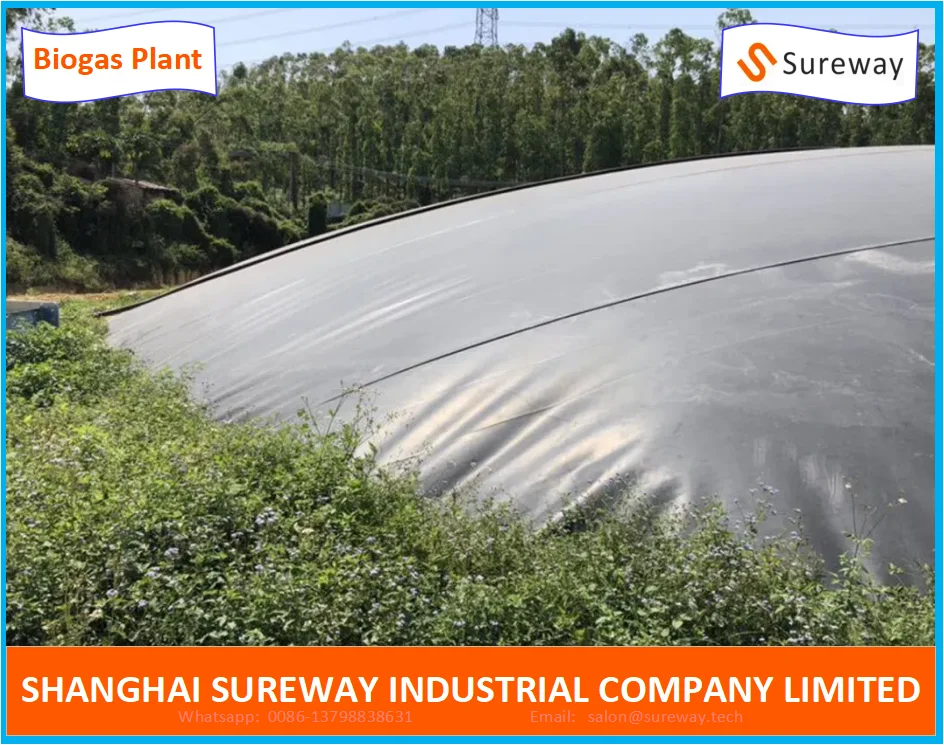 8000m3 HDPE Membrane Lagoon Type Biogas Digester