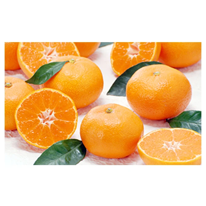Japanese wholesale bulk fruit agricultural products and food with good quality