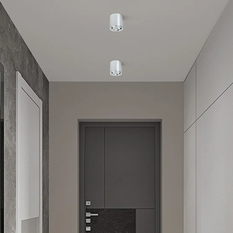 High Brightness Home Hotel School Aluminum Ceiling Lighting Surface Mounted Cob Led Down Light