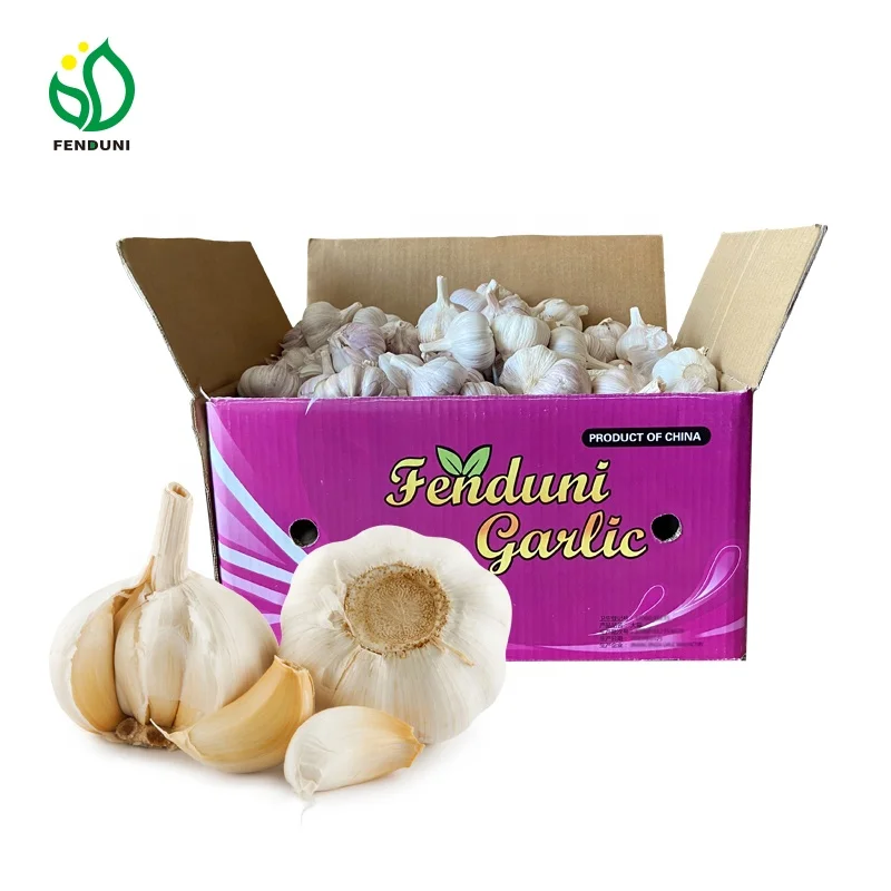 Garlic G1 purple garlic red garlic from china with cheap price