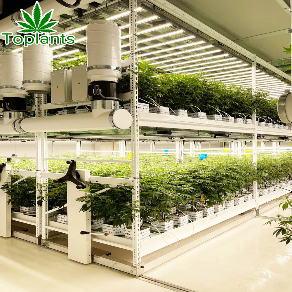 Высокое качество Вертикальная сельскохозяйственная Гидропоника 4X8 прожекторная система выращивания