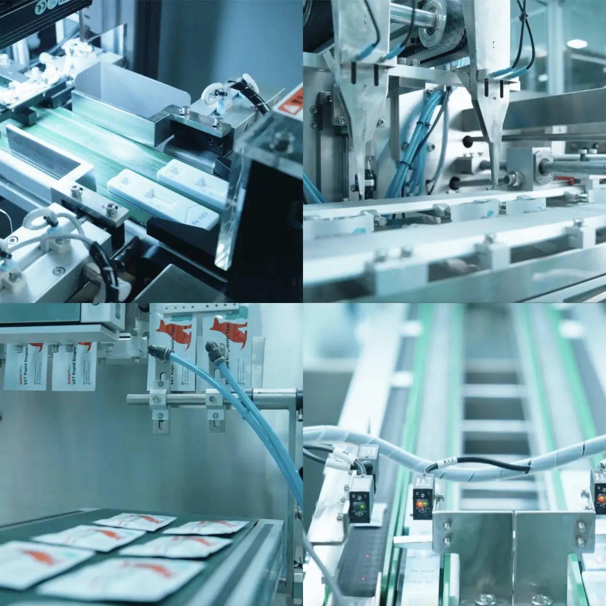 Лидер продаж быстрый тест на антитела Bab Babesia Gibsoni ветеринарный анализ крови по заводской цене