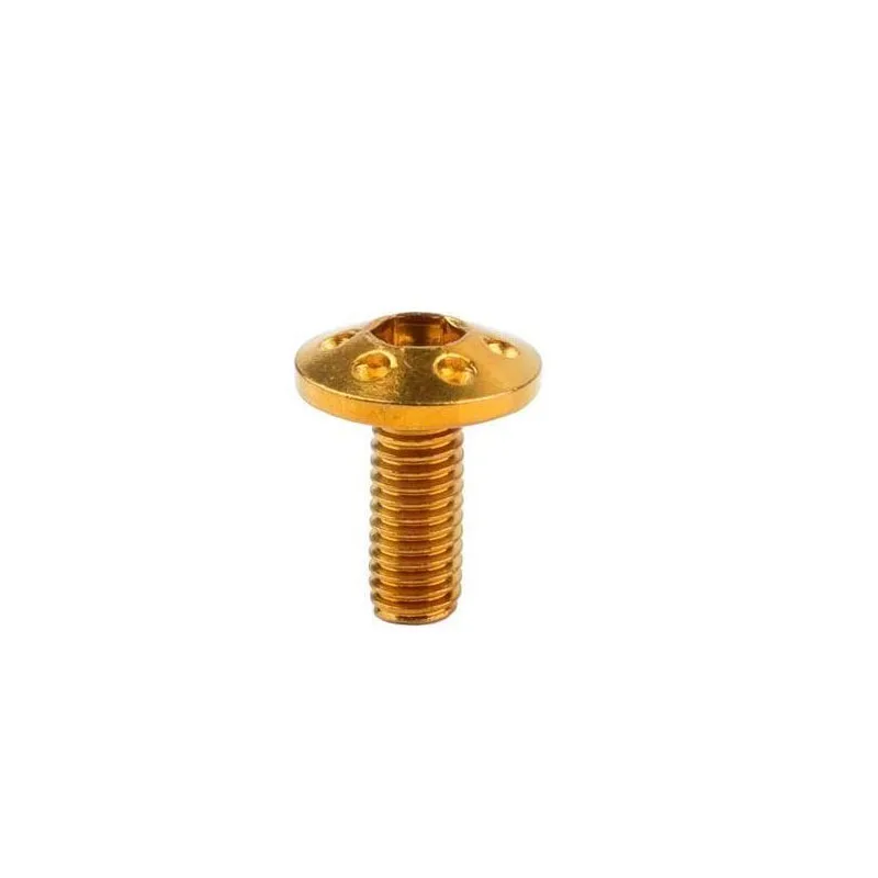 Gr2 Gr5 Grade 2 Grade 5 Titanium alloy Steel Anodized Hex Socket Drive Truss Head Machine Screw With Hole
