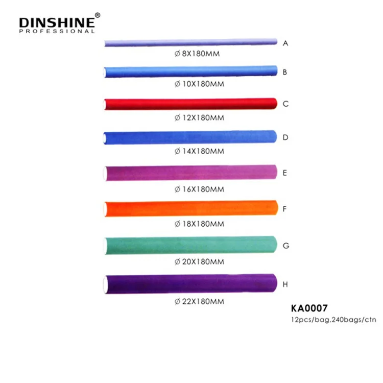 Dinshine New Product Plastic Mesh Magnetic Hair Rollers