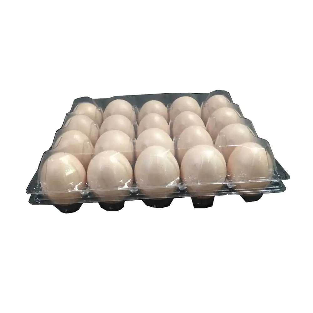 20 eggs transparent chicken egg tray