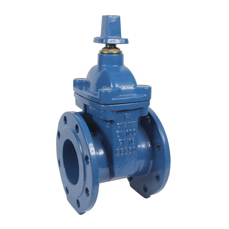 DIN3352 F4 Resilient Seat Cast iron Gate Valve
