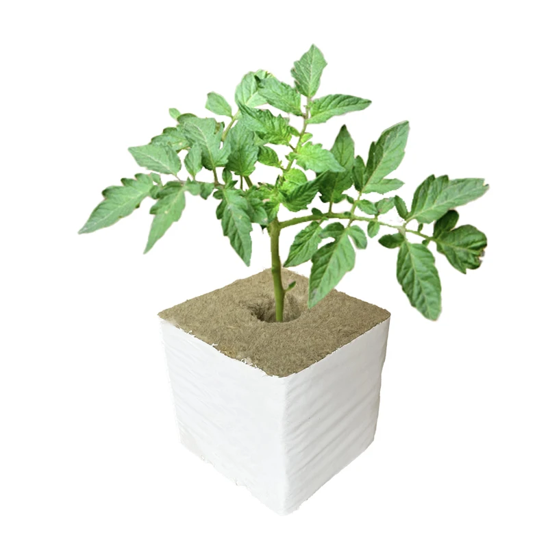 Plants Hydroponic Growing Block For Indoor Planting Rock Wool Planting For Hydroponic