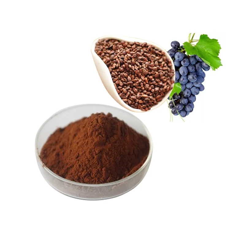100% Natural Pure Grape Seed Extract Powder Wholesale 95% Proanthocyanidin Powder Health Supplement