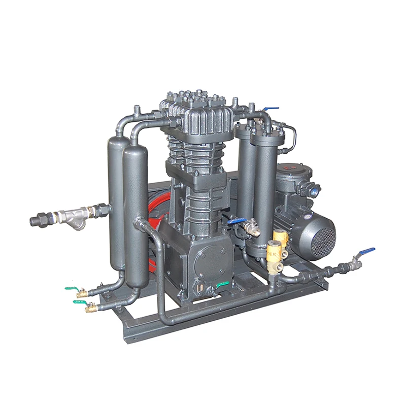 High Efficiency Oil Free 250 Bar Industrial Compressors Automation Piston Reciprocating N2 Nitrogen Air Compressor