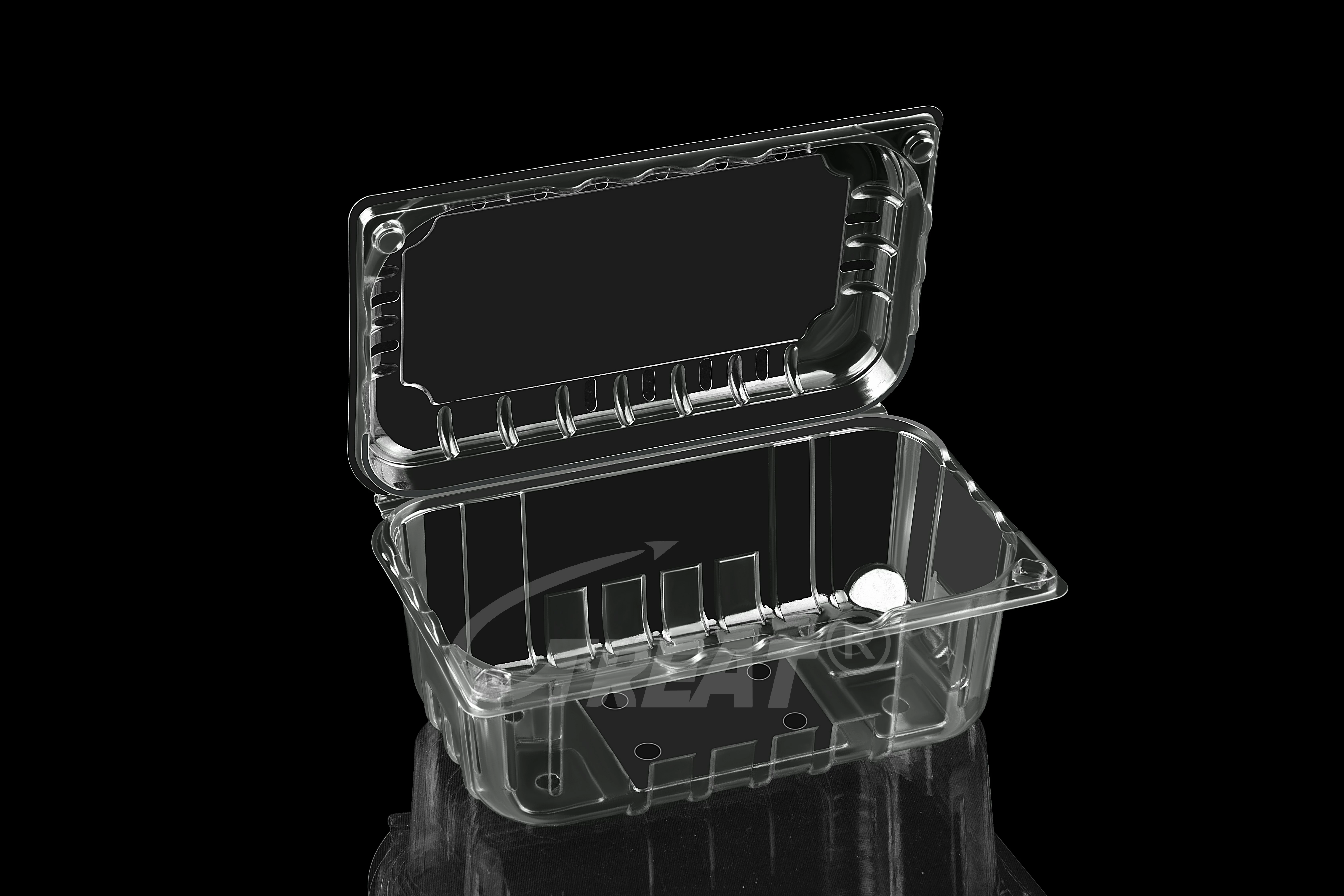 PET Plastic Fruit and Vegetable clamshell packaging Berries and Other Produce Storage container