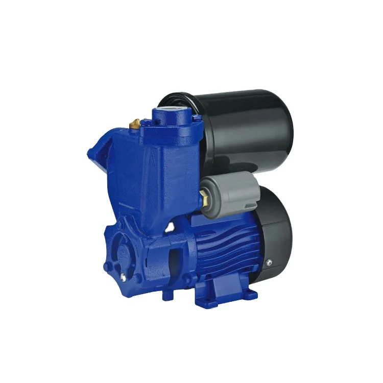 SALI High Performance SK250  0.25kw High Quality Self Priming Water Pump