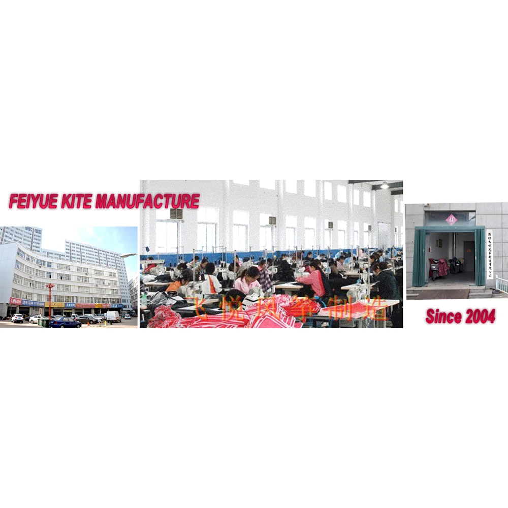 Easy flying  diamond kite from weifang kite factory