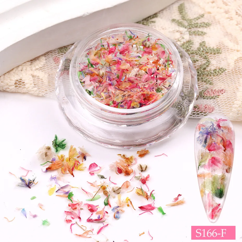 3D Colorful Dried Flower Petal Nails Art Decoration Mixed Color Natural Dry Flower Nail Charms