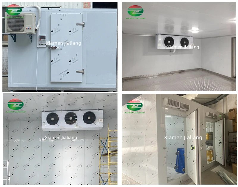 Service first and performance beer fish storage cold room cold room for dairy commercial fish chicken cold room