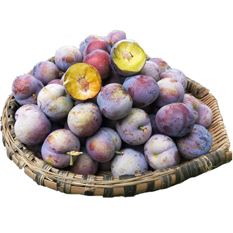 Excellent quality 100% natural sweet juicy Chinese fresh black purple plums