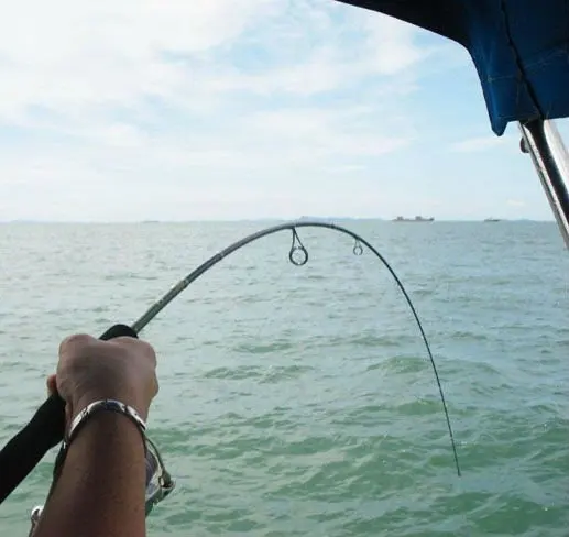 High Quality Carbon Fabric Toray Offshore Spinning Seabass Fishing Rod Galaxy Series Hard Fishing Rod