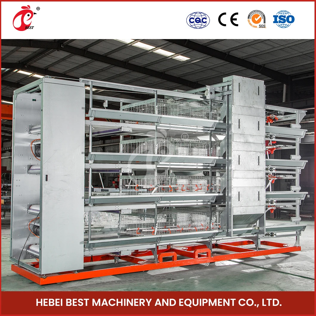 China Cheap Chicken Coops H Frame Automatic Boriler Cages Supplier Custom Clean And Hygienic Broiler House