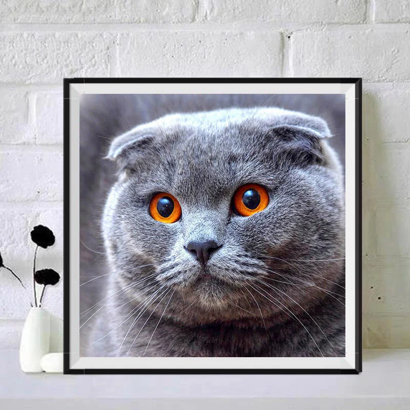 Handmade Gift DIY 5D Diamond Painting Full Cute Animal Canvas Painting Cat Cats Bead Painting Home Decoration Adult Crafts