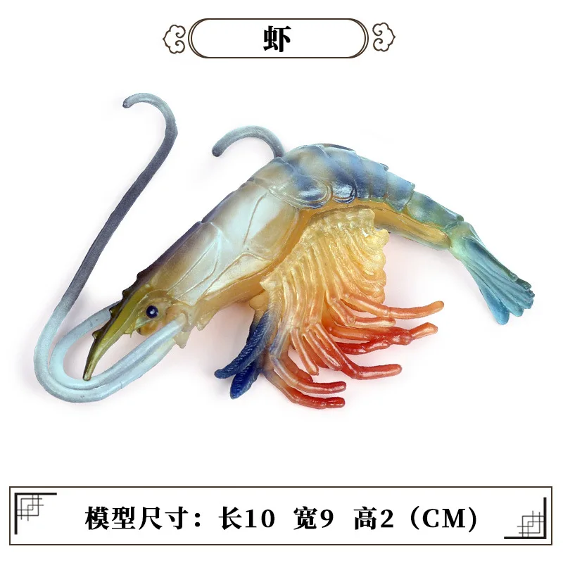 CJJ174 7513.jpg