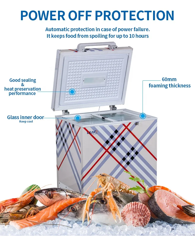New Energy Saving Technology Built-in Lithium Battery 12V DC Freezer