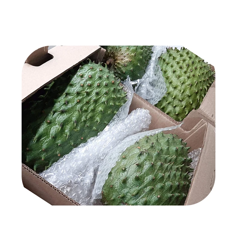 Bulk Wholesale Price Exotic Fruit  Other Fresh Fruit White Pulp Sweet Flavor Soursop for Sale