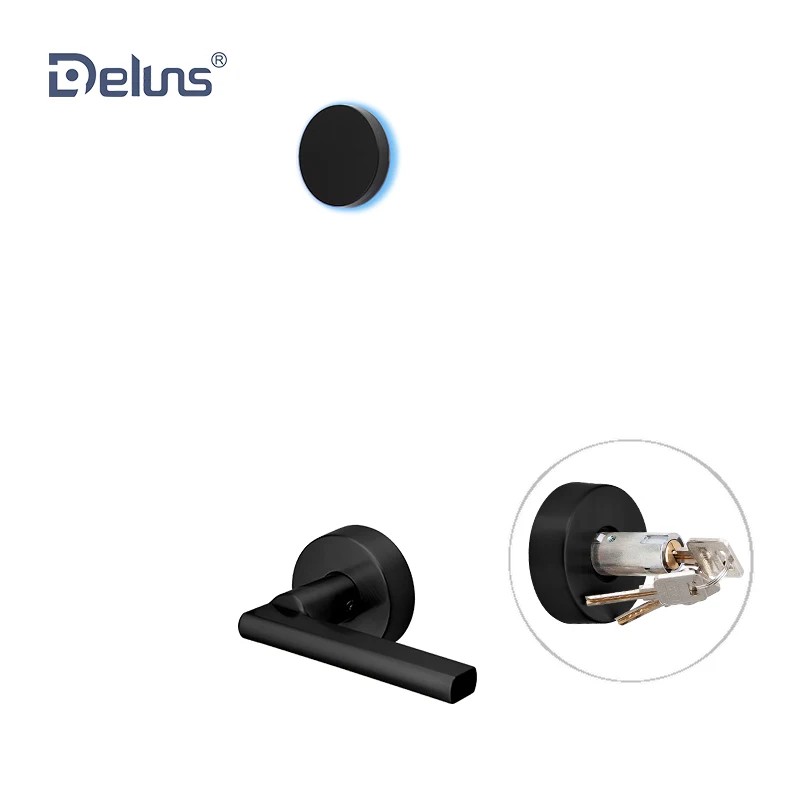 
Deluns offline and online wifi electric hotel lock smart security with special design 