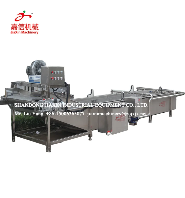 
304 stainless steel small fruits and vegetable washing sorting machine 