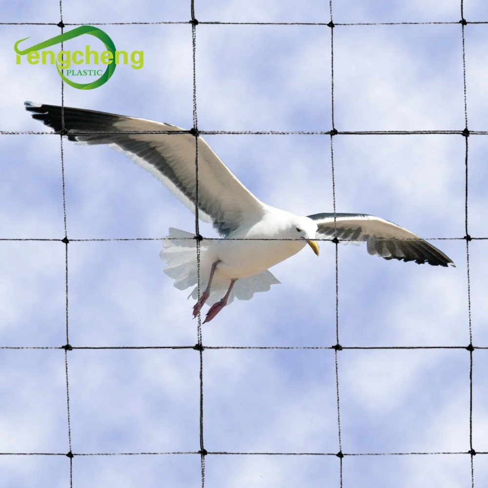 low cost apple tree cover 20x20mm mesh hole anti-bird 100% pp birds trap protection mesh plastic net for sale