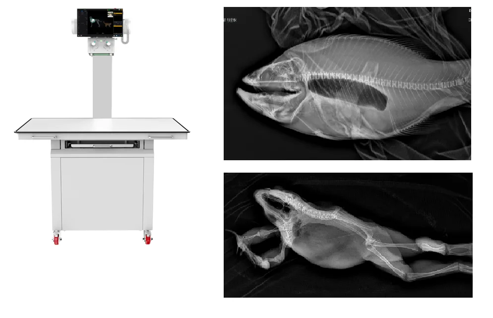 NEW digital x ray machine vet animal 20KW 320ma 30KW 400ma fix type 120kV generator tube
