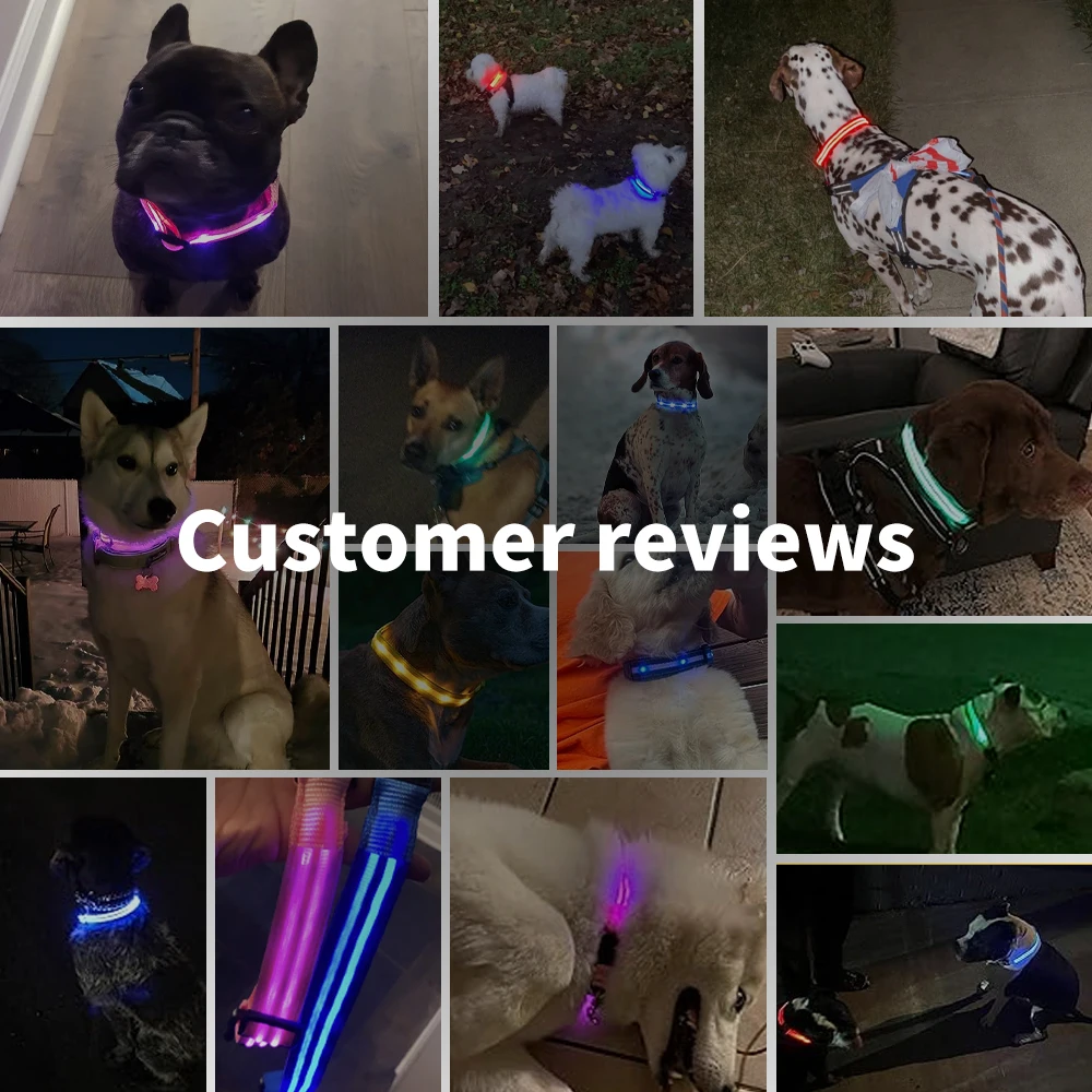 Custom Waterproof Flashing Light Up Reflective Pet Collar Adjustable USB Type-C Recharge Luxury LED Dog Luminous Collar for Dog