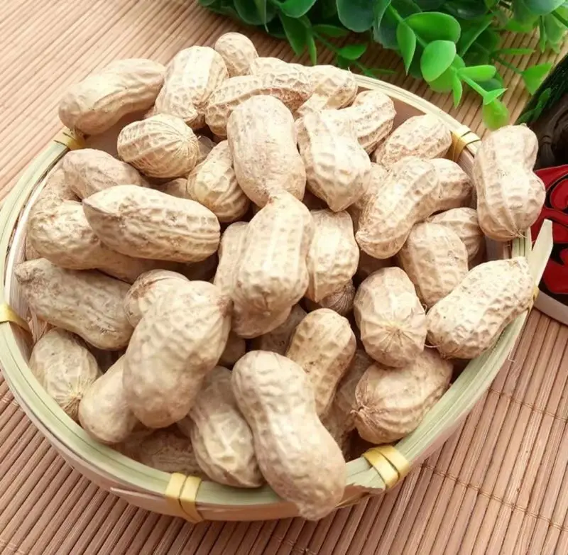 Superior Common Cultivation Type Peanut In Shell Groundnut Peanuts