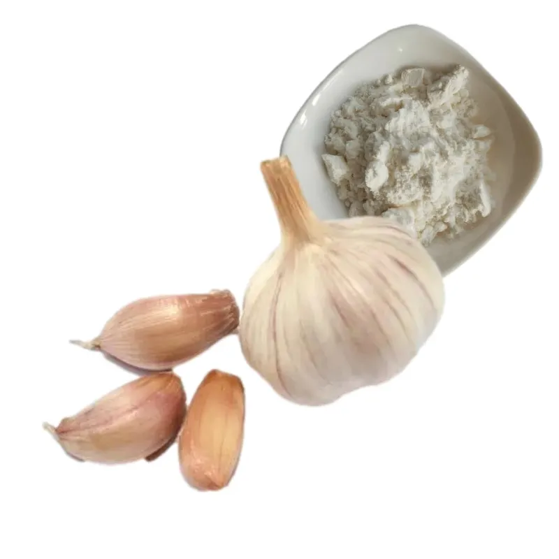 food grade garlic allicin powder bulk  with strong smell