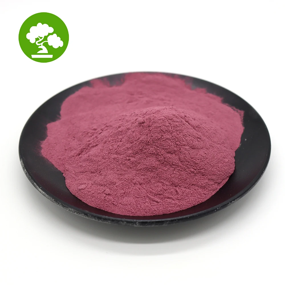Food Grade Dragon fruit freeze-dried powder Natural Dragon fruit