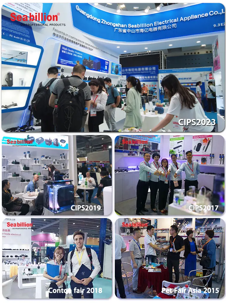 CIPS2023
