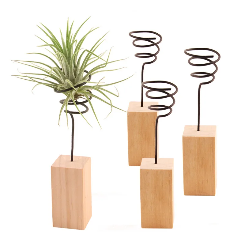 Log base Air plant stand - Air bromeliad accessories - soilless plant flower decoration