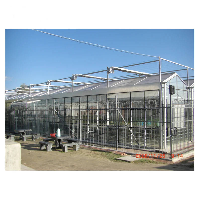Complete Glass Agricultural Commercial Greenhouse Turnkey Project with Quick Construction