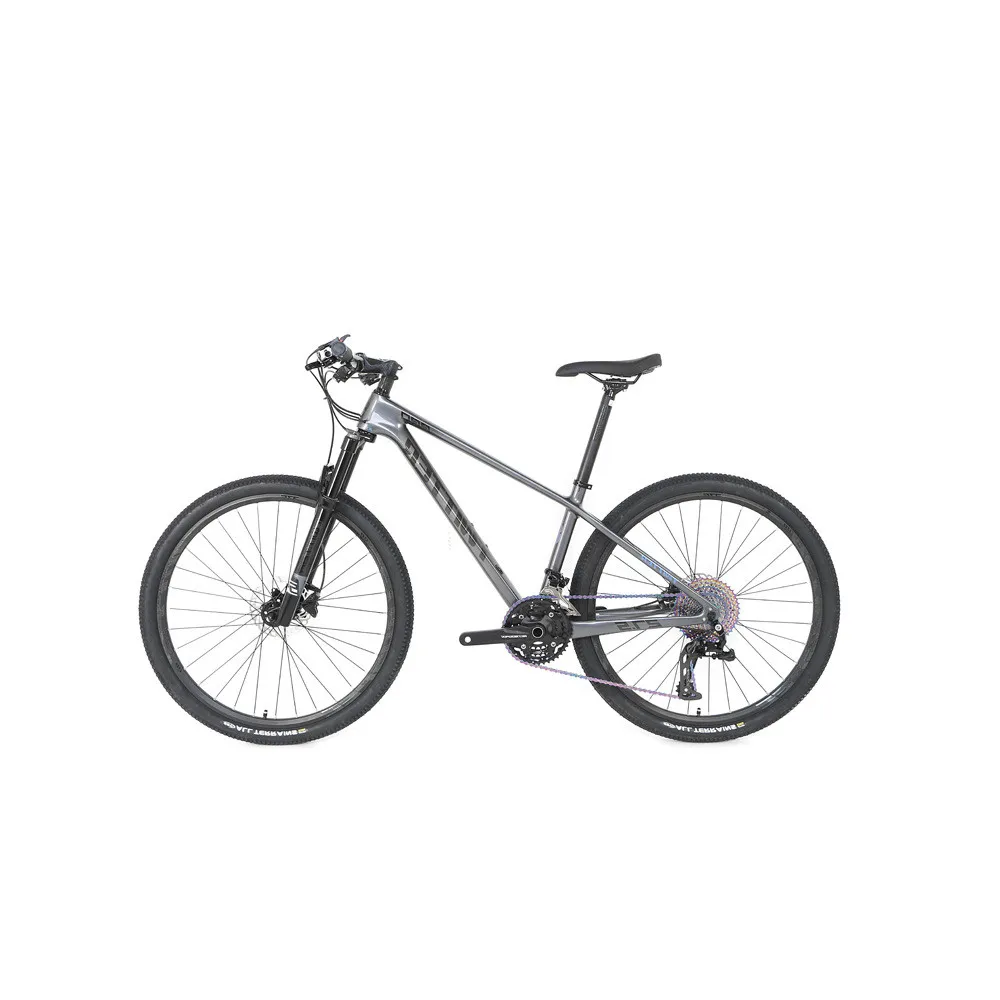 CE Mountain Bike Bicycle 21/24/27 Speed High Quality Cheap Shimano Gear Cycle Bicicletasbon Rin 29 of Motain MTB Mountainbike
