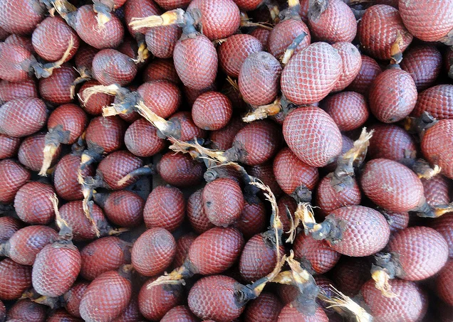 Травяной ингредиент от производителя капсулы для увеличения ягодиц Красного мака