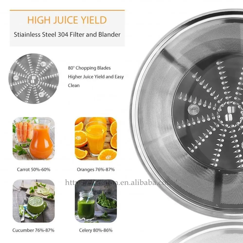 2021 New Design BPA-Free OEM Stainless Steel Press Blender Extractor Fruit and Vegetable Juicer Extractor